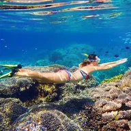 Randonnée Palmée dans le Golfe de Sagone