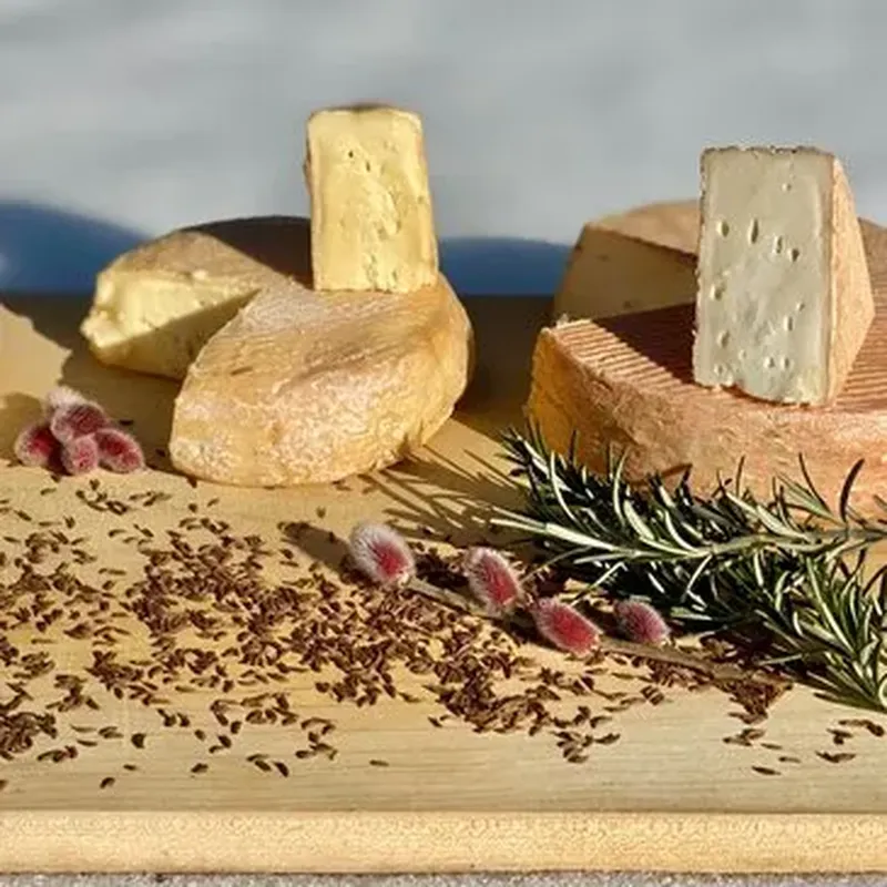 Atelier Fabrication de Fromage à Toulouse