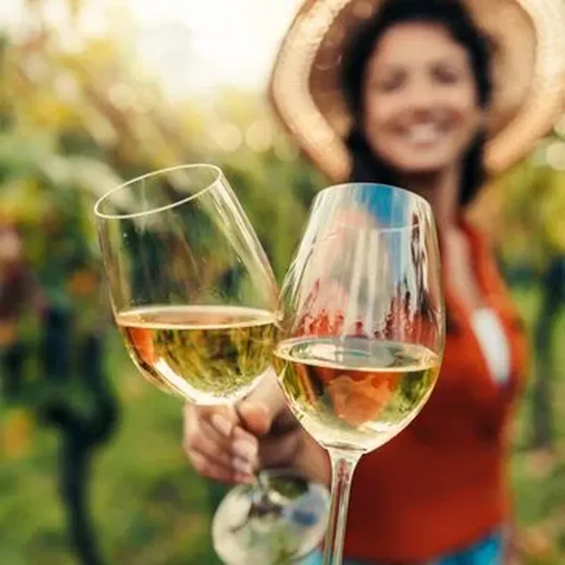 Cours d'Œnologie dans un Château près de Nantes
