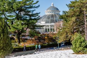 Jardin botanique de New York + Zoo du Bronx