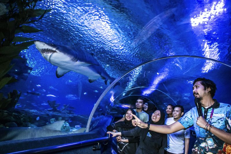 Aquaria KLCC: Billet d'entrée