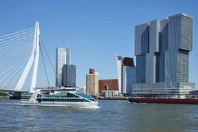 Tour en bateau du port de Rotterdam - Spido