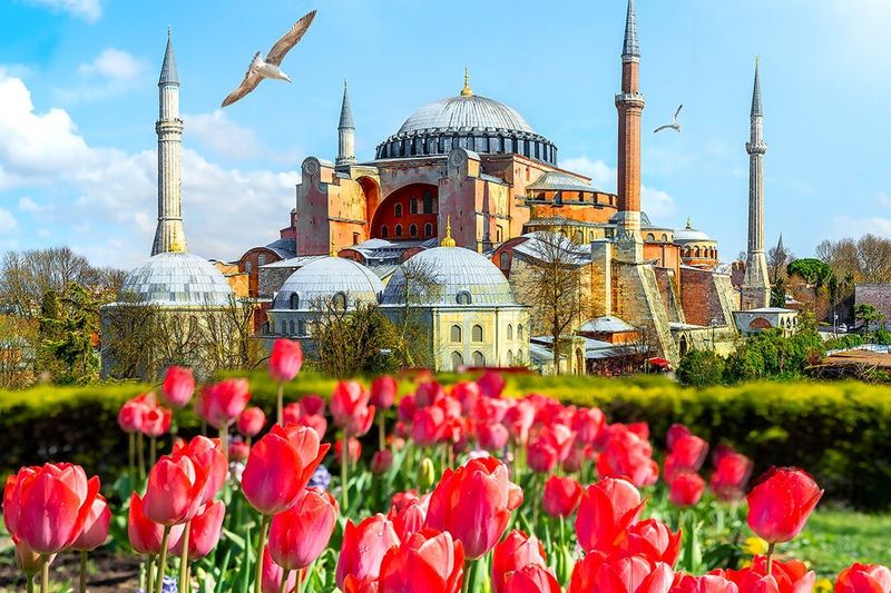 Sainte-Sophie : Mosquée et musée + carte de transport public