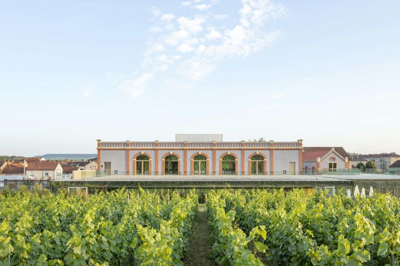 PRESSORIA - Un voyage sensoriel au cœur du champagne