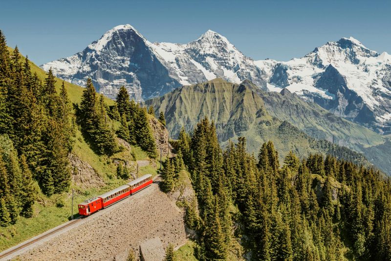 Schynige Platte : Chemin de fer à crémaillère aller-retour depuis Wilderswil