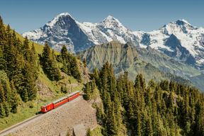 Schynige Platte : Chemin de fer à crémaillère aller-retour depuis Wilderswil