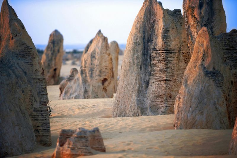 Désert des Pinnacles, Yanchep et Swan Valley : Excursion d'une journée depuis Perth + déjeuner