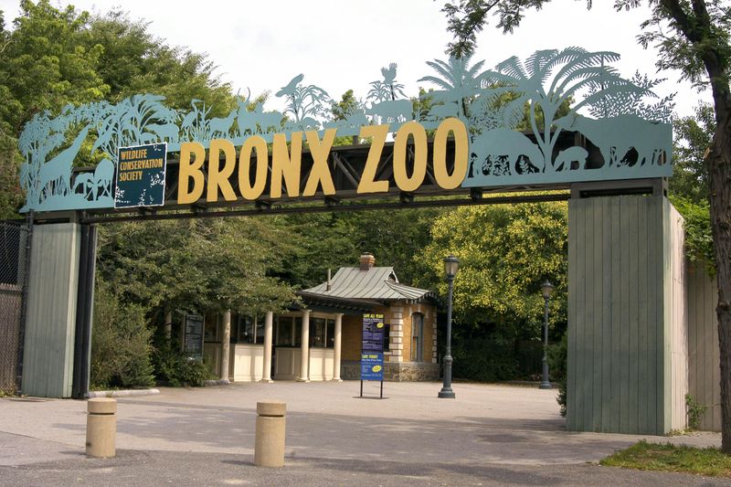 Zoo du Bronx : Billet d'entrée