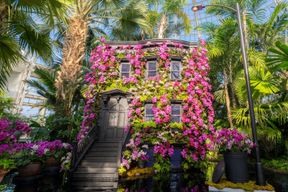 Jardin botanique de New York : Carte d'accès à tous les jardins