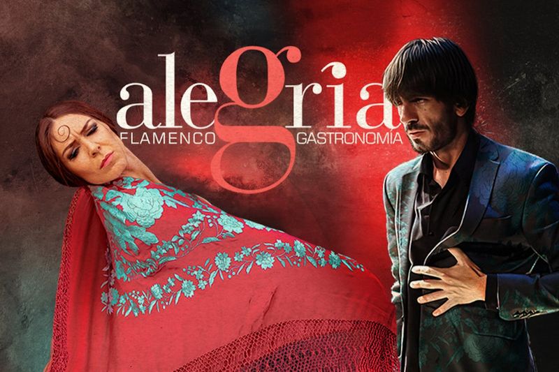 Alegría Málaga : Spectacle de flamenco