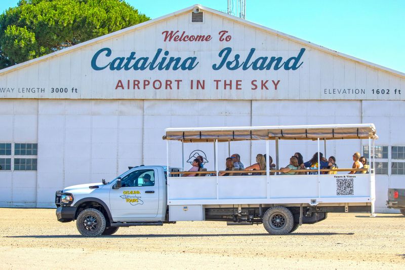 Île de Santa Catalina : Visite guidée d'Avalon
