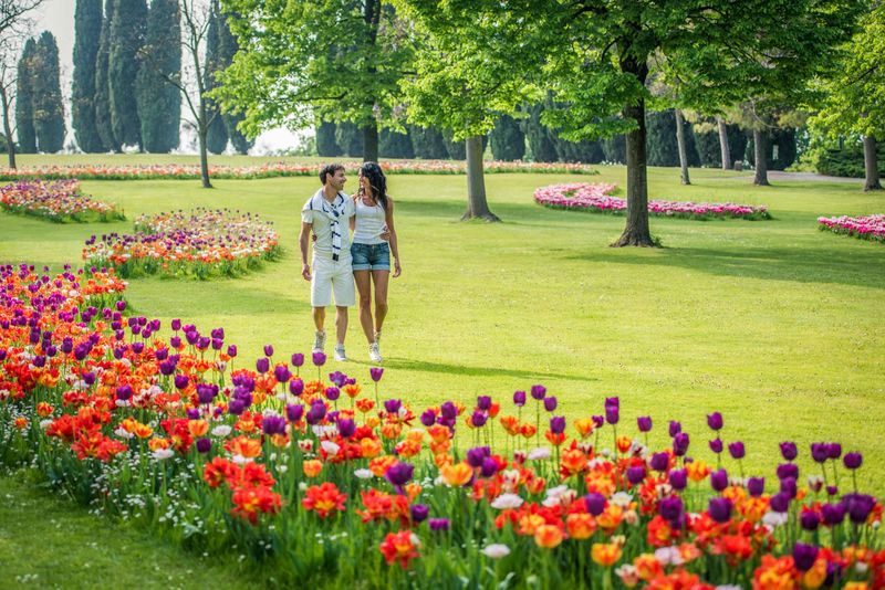 Parco Giardino Sigurtà : Open Date Ticket