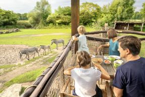 Zoo de Leipzig + carte de voyage 