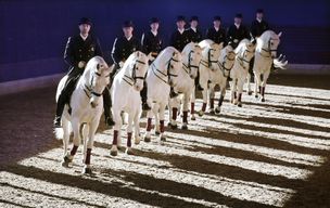 Haras de Lipica & Spectacle L'histoire de Lipica