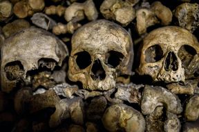Catacombes de Paris : Visite guidée en anglais