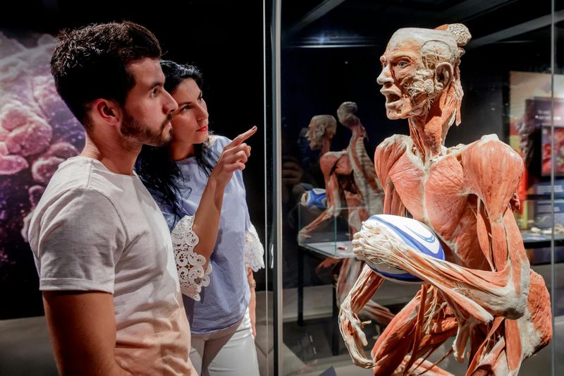 BODY WORLDS Berlin - Le premier musée BODY WORLDS