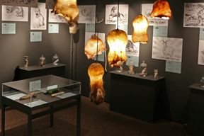 Musée phallologique : Billet d'entrée