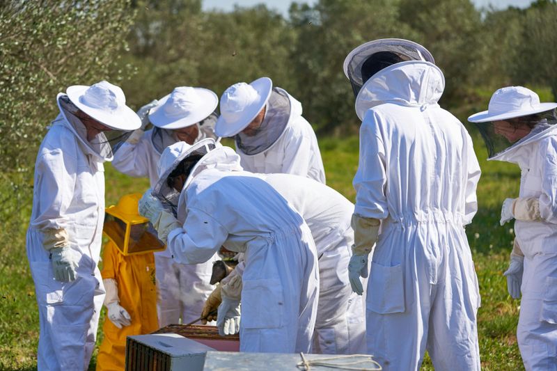 Expérience d'apiculteur et dégustation de miel chez Abellaires Empordanesos