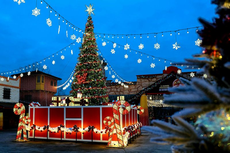 Walibi Belgique : Billet d'entrée