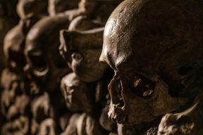 Catacombes de Paris : Billet d'entrée + Audioguide