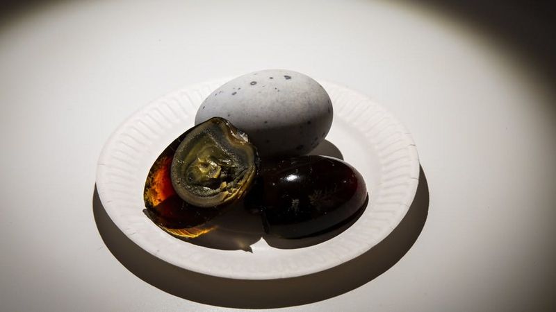 Disgusting Food Museum : Billet d'entrée