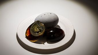 Disgusting Food Museum : Billet d'entrée