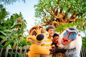 Disney's Animal Kingdom® : Billet 1 jour