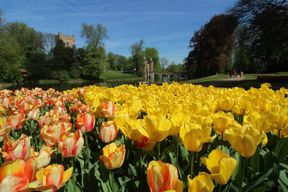 Château de Groot-Bijgaarden : Billet d'entrée Floralia Bruxelles