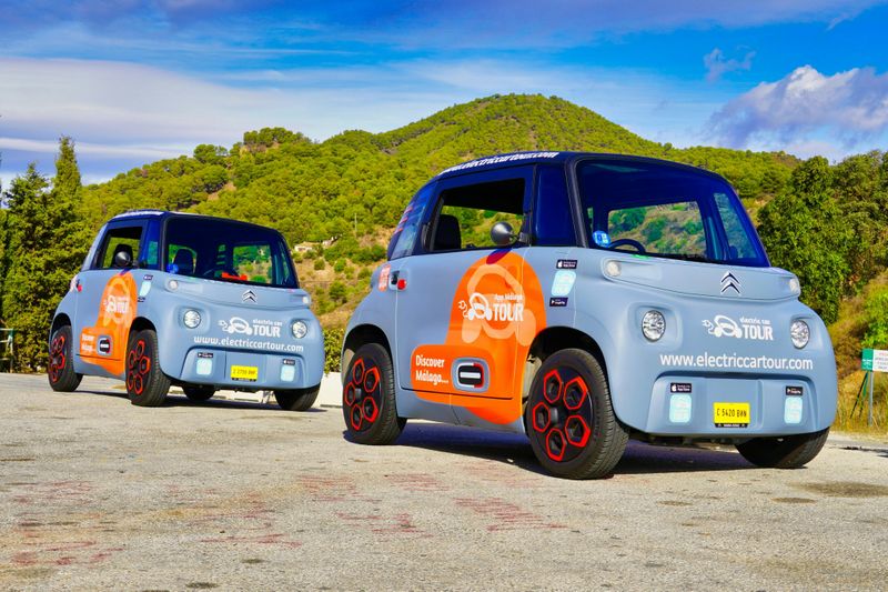 Parc naturel de Montes de Málaga : Visite guidée en voiture électrique + déjeuner