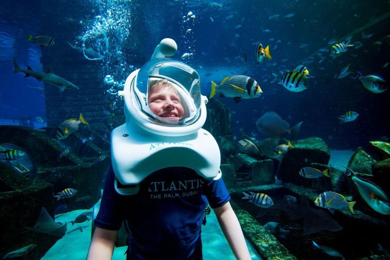 Le monde de l'aquaventure : Pass journée parc aquatique + Plongée en apnée ou safari avec les requins
