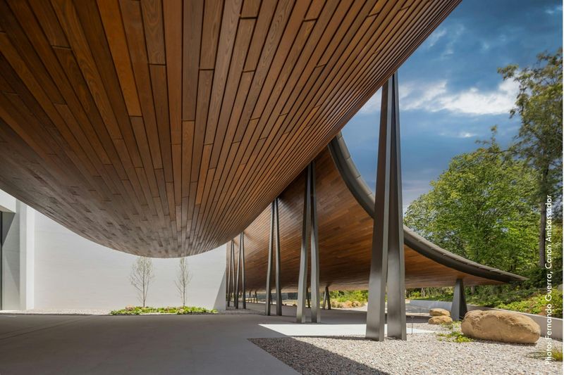 Musée Calouste Gulbenkian & Centro de Arte Moderna : Billet d'entrée