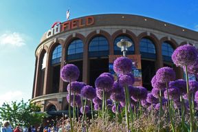New York : Visite du stade Citi Field