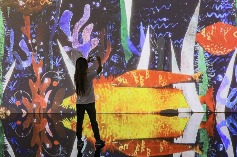 Nomad Musée immersif : Billet d'entrée