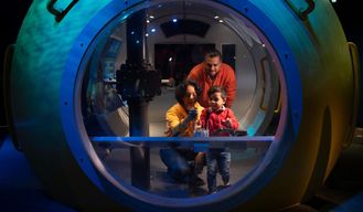 New York Aquarium : Billet d'entrée