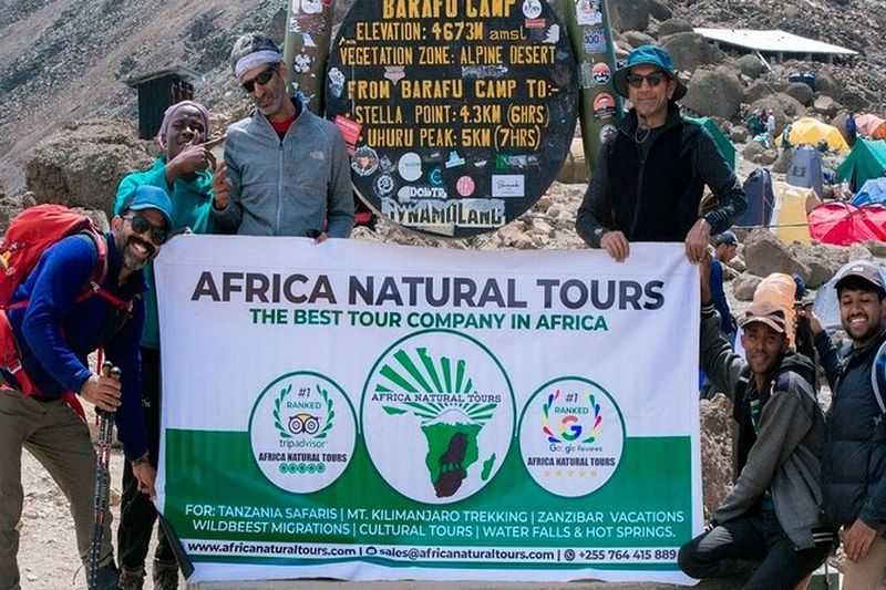 Le plus abordable 7 - Day Kilimandjaro Machame Route Randonnée de groupe