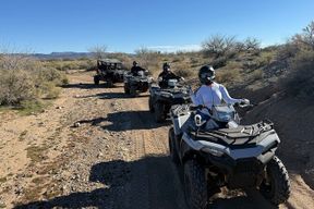 Excursion d'une demi-journée dans le désert de Mojave en 4x4 au départ de Las Vegas