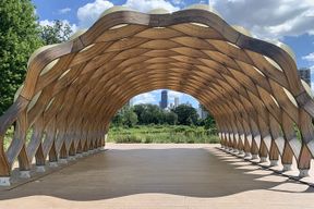 Lincoln Park Zoo Adventure