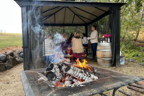 Excursion viticole privée Willamette Valley, Oregon - Wine Tour