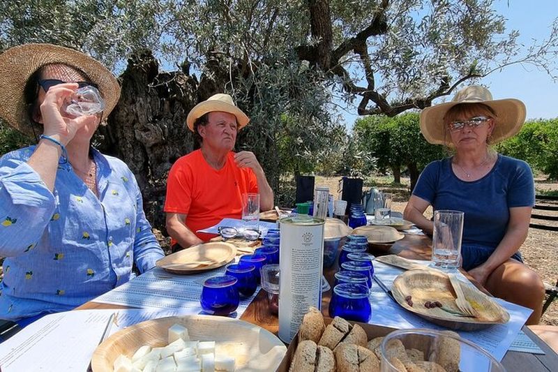 Expérience de dégustation d'huile d'olive à Ermioni Grèce