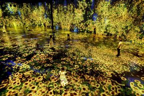 Miami : billet pour l'expérience artistique immersive Superblue Miami