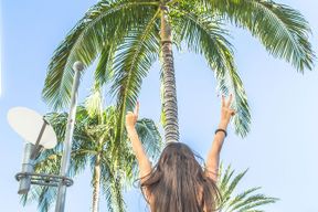 LA Tour : Centre-ville, Hollywood, Rodeo Drive, Farmer's Market