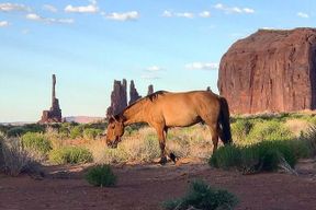 Visite de groupe Monument Valley - 3 heures - Navajo Spirit Tours