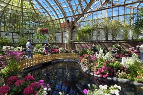 Lincoln Park Nature Museum & Zoo Visite privée à pied