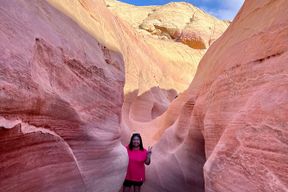 Excursion d'une journée à Valley of Fire et Red Rock Canyon au départ de Las Vegas