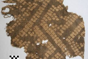 Admission générale au centre d'archéologie de la vallée de Verde