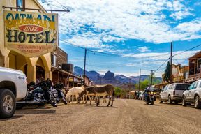 Visite historique en bus de la Route 66 à Oatman