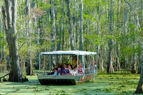 Excursion en bateau dans les marais et le bayou de la Nouvelle-Orléans