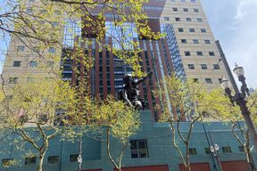 Introduction à la visite à pied en petit groupe de Portland