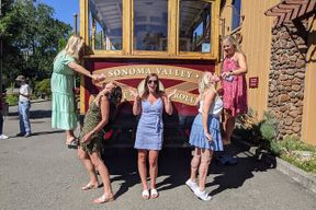 Visite en tramway à vin en plein air de la vallée de Sonoma