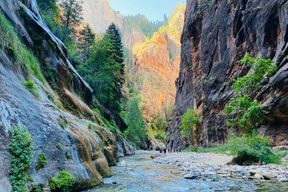 The Narrows: randonnée guidée privée du parc national de Zion
